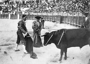 Rafael Gómez, Preparándose para descabellar su primer Toro