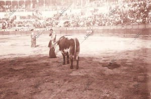 Manuel navarro al entrar A matar su primer Toro