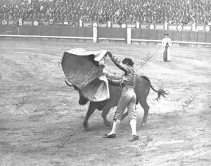 Julián Sainz (Saleri Ii) Toreando de capa A su primer Toro