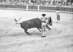 El diestro Francisco Ferrer Pastoret, toreando con el capote en la plaza de...