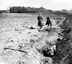 Soldados Franceses Recorriendo después de un combate una trinchera Alemana que...