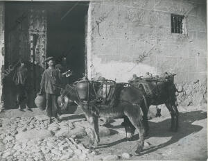 (Ca.). Aguadores