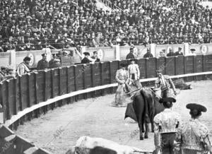 Pedro Carranza (algabeño Ii) Muleteando al Toro de su alternativa el Domino...