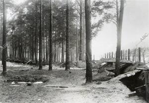 Trincheras Abandonadas por los Rusos y Ocupadas luego por los Austro-Alemanes en...