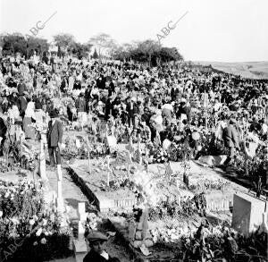 Un aspecto de la necrópolis de nuestra Señora de la Almudena durante el día de...
