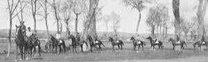 Caballos del Conde de la cimera de vuelta del entrenamiento en Aranjuez