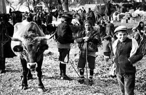 En Huescaun detalle del ferial de ganado vacuno