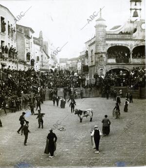 Aspecto de la plaza durante la corrida celebrada con motivo del carnaval