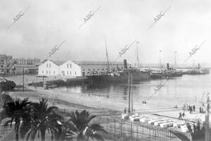 Muelle Alfonso Xiii y tinglado número 1