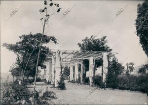 Rincón de un jardín