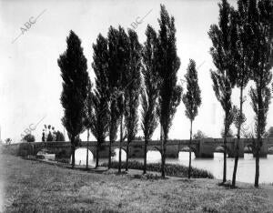 Histórico puente de Simancas (Valladolid)