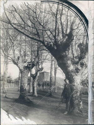 Paisaje de la campa y al fondo el Santuario