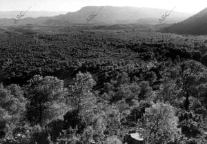 Vista general de la Sierra de Espuña en Murcia