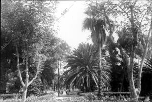 Vista del parque Hernández, de Melilla