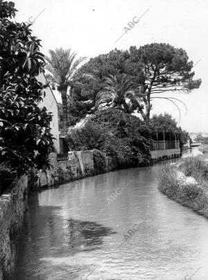 Vista de los Cultivos del río Turia A su paso por el pueblo Burjasot (Valencia)