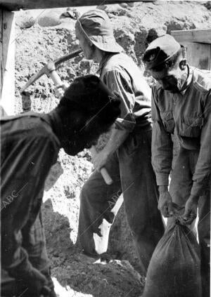 Los Fortificadores Preparando la defensa del Terreno