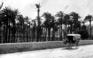 Puerto de las Palmeras de Cartagena (Murcia)