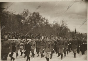 Las milicias de Falange Española Tradicionalista y de las JONS, pasando ante las...