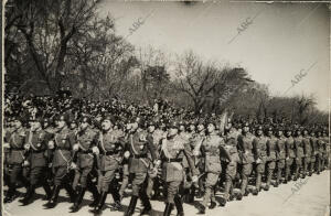 La Infantería española desfilando por la Avenida del Generalísimo (Paseo de la...