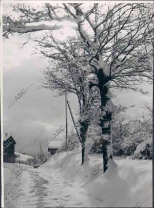 Arboles Nevados en el puerto guipuzcoano de Echegarate