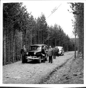 Pista forestal entre la seo de Urgell y Sort, entre las Cuencas del Segre y del...
