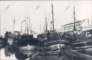 Isla Cristina (Huelva). 1950 (CA.). Barcos amarrados en el Puerto