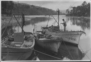 Redondela (Pontevedra), 1953. Un pescador en su barca