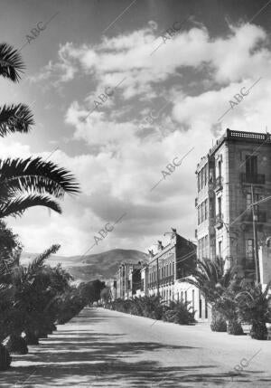 Calle de Aguilar Martel de Alicante hacia 1953