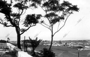 Vista parcial Desde "el Aguila" en torre del Mar (Málaga)