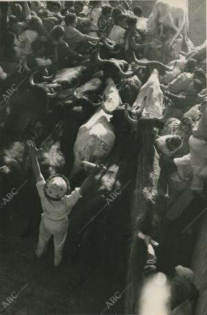 Formidable montón de corredores y toros en la entrada de la plaza