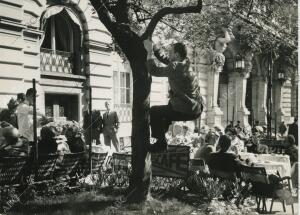 En la Vía Véneto, un fotógrafo sube a un árbol para intentar fotografías de los...