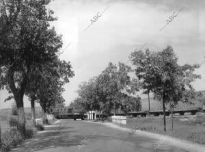 En Imagen, la carretera que Unia A Navalcarnero con Villamanta