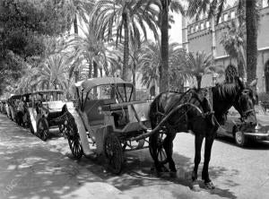 Carruajes de palma de Mallorca