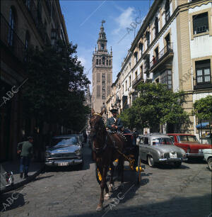 (CA.) Coche de caballos en una de sus calles. Al fondo la Giralda