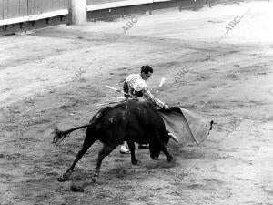 Santiago Martín "el Viti" Triunfa en la Undécima corrida de la Feria de san...