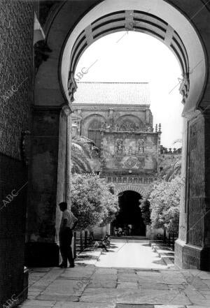 Mezquita de Córdoba. Patio de los Naranjos