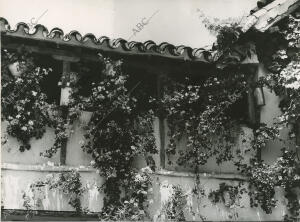 Un balcón andaluz en un patio cordobés