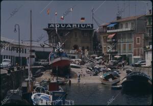 El Aquarium de San Sebastián, situado en el puerto