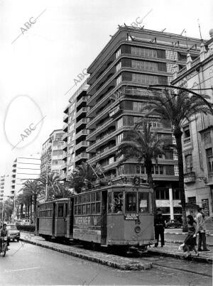 Paso del tranvía por las Calles de Alicante