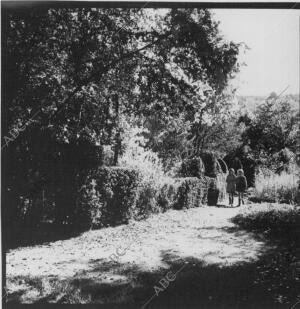 Béjar: Jardines De "el Bosque"