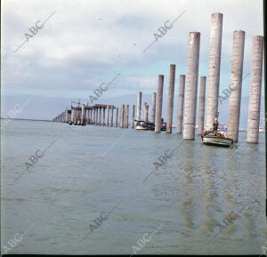 Pilares para el puente sobre la bahía