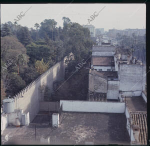 Foto de parte de la muralla hecha desde el Alcazar de Sevilla