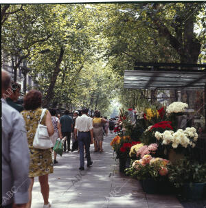 Un hermoso aspecto de la Rambla de las flores