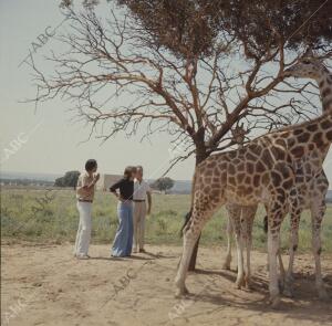 Cristina Onassis con el Marqués de Griñón
