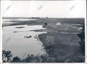 Marismas en el coto de Doñana