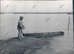 Marismas en el coto de Doñana