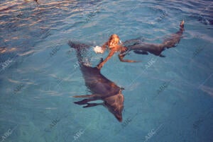 El Príncipe Felipe en un zoológico mallorquín jugando con los delfines