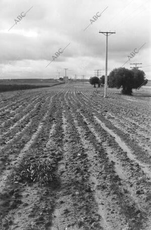 En Imagen, lo Terrenos por los que Discurrirá la nueva carretera A su paso por...