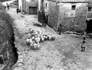 Una de las Calles del pueblo Fradelo (Orense)