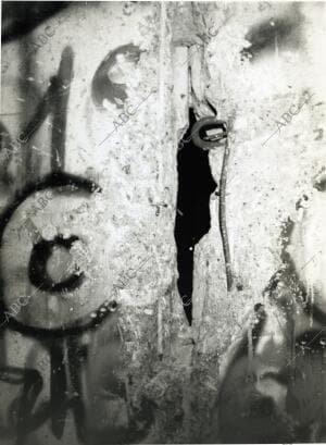 Alemanes festejando la caída del Muro de Berlín